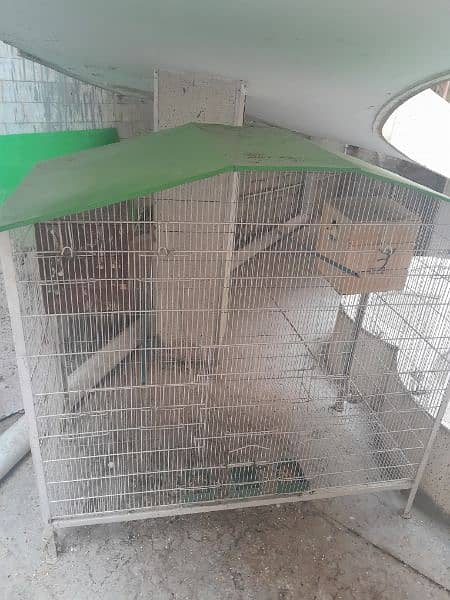 flying cage for sale 1
