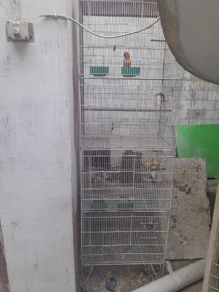 flying cage for sale 2