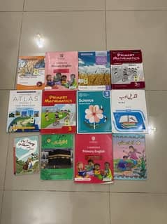 The City School full course for class 3 for sale price 25000
