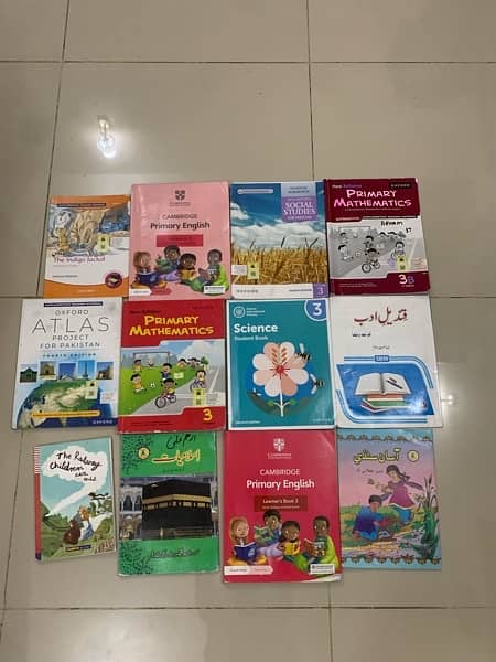 The City School full course for class 3 for sale price 25000 1