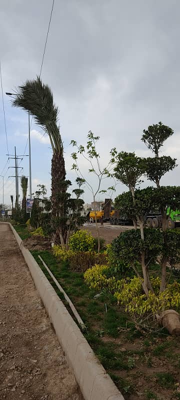 3 MARLA GOOD LOCATION PLOT FOR SALE ON 2 YEAR INSTALLMENT IN UION GREEN COLLAGE ROAD LHR 1