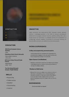 CV Designing (Professional Work) 0