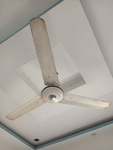 pak fan ceiling 0