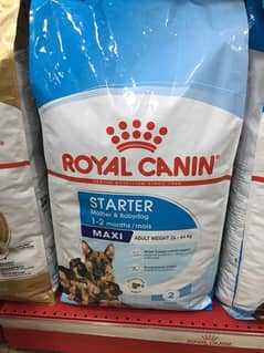 Royal Canin Maxi Starter Dog Food 15kg in Pakistan