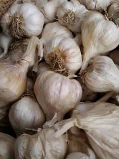 organic garlic 600 per kg avaliable in limited quantitie.