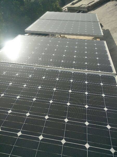 jinko photovoltaic 1