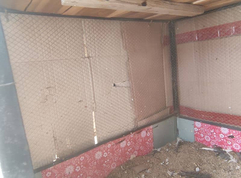 Iron cage for hens with cover is for sale 8