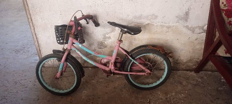 bicycle for girls 0