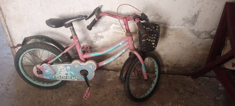 bicycle for girls 1