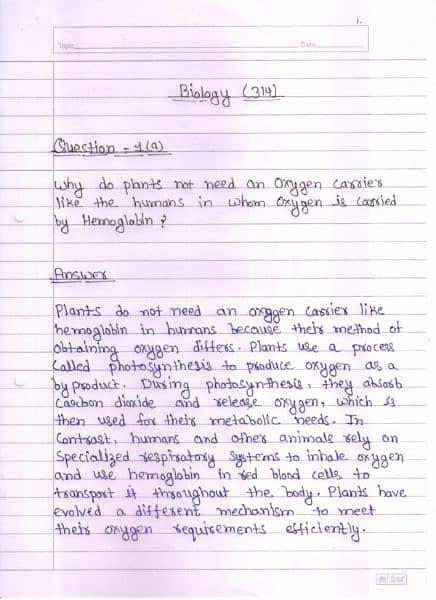 online assignment are available here with beautiful handwriting 3