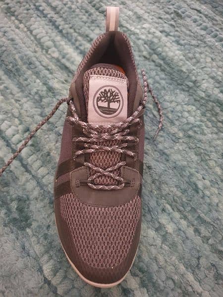 Brand New Timberland  Hiking Shoes Size 42 1