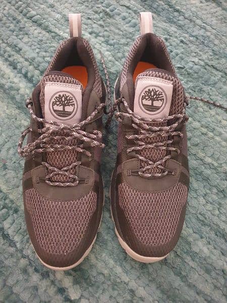Brand New Timberland  Hiking Shoes Size 42 5