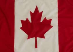 Canada Visa / USA visa / UK Visa / Work Visa / Visit Visa / Study Visa