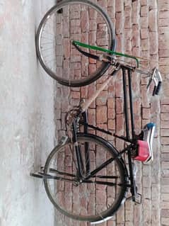 bicycle used 7 months
