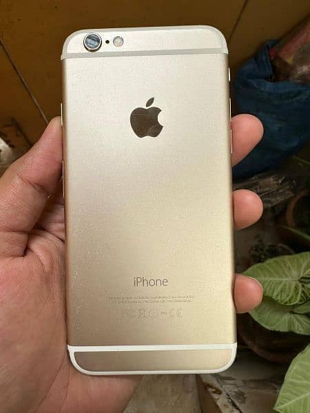Iphone 6 Gold 1
