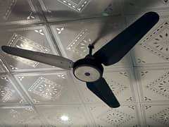 Neat and Clean Quality Used Fan For Sale