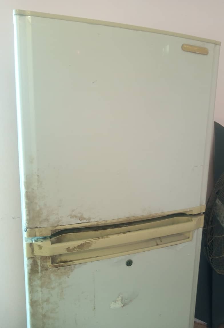 haler refrigerator 1