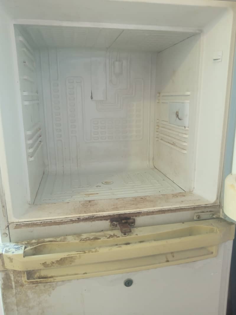 haler refrigerator 4