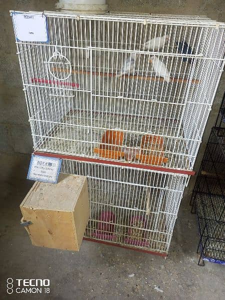 cage nd birds 3