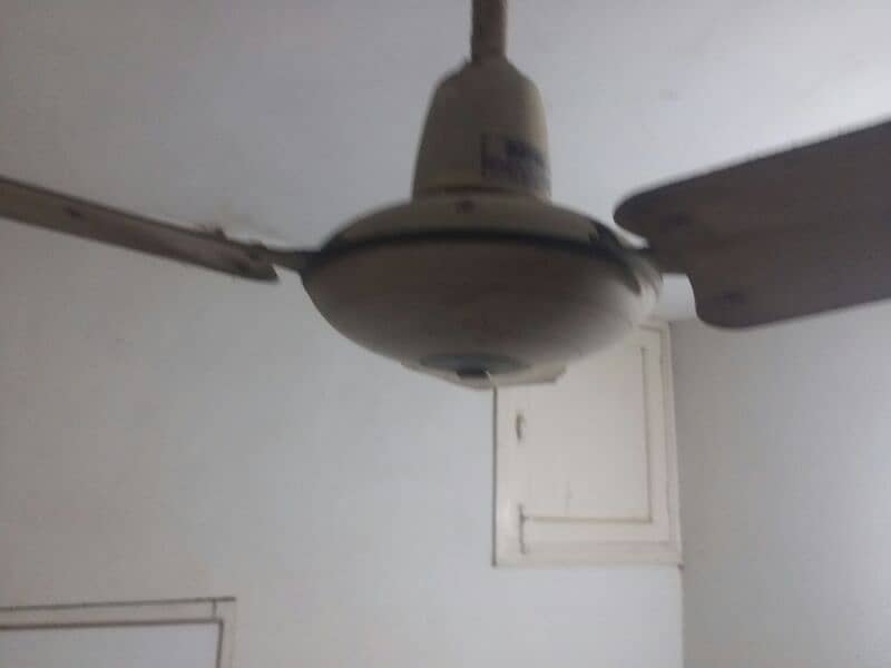royal and pak ceiling fans available working cndition 1