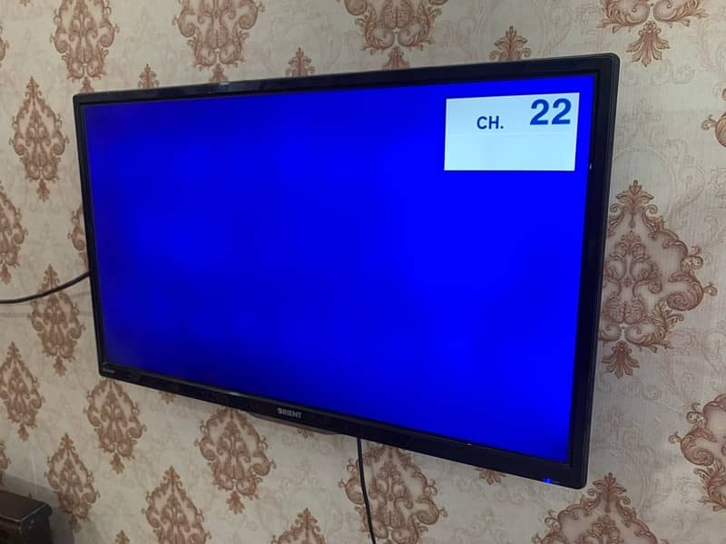 orient 32 Inch led 1