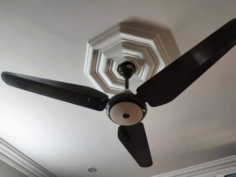 ceiling fan 4