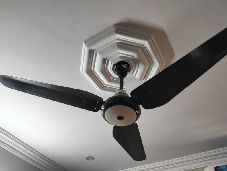 ceiling fan 5
