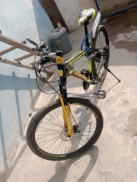 Trioblade bicycle, Hybrid bicycle 1