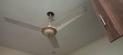 2 ceiling fan pure copper