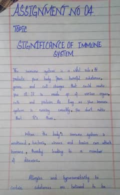 Handwritten Assignment Wok
