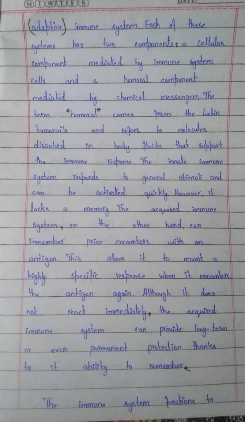 Handwritten Assignment Wok 2