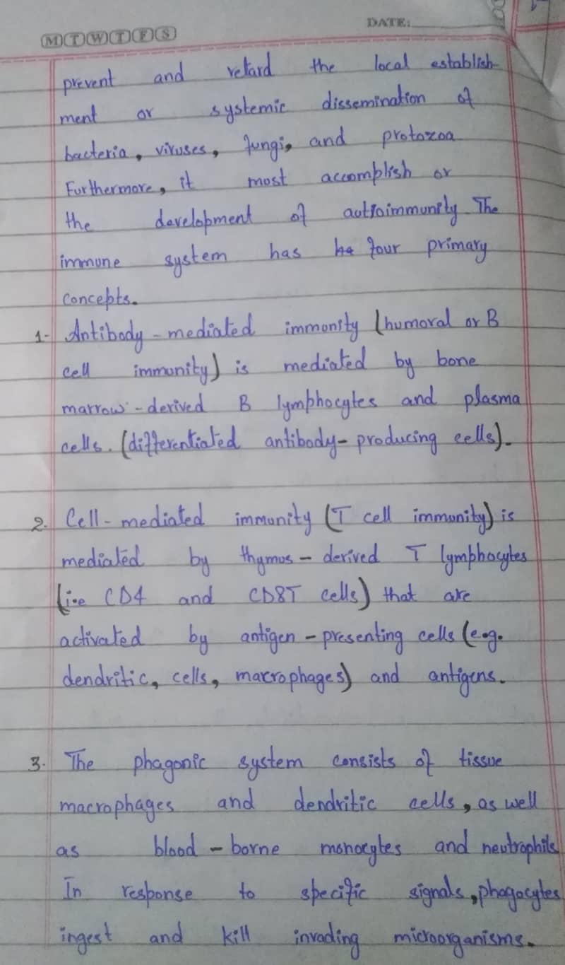 Handwritten Assignment Wok 3