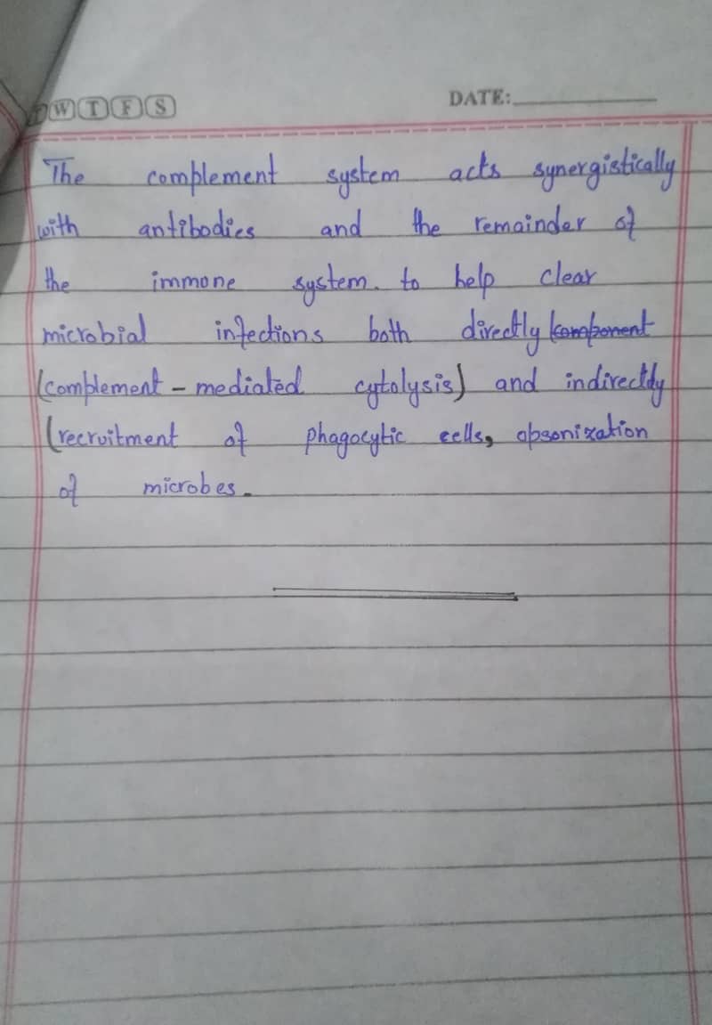 Handwritten Assignment Wok 4