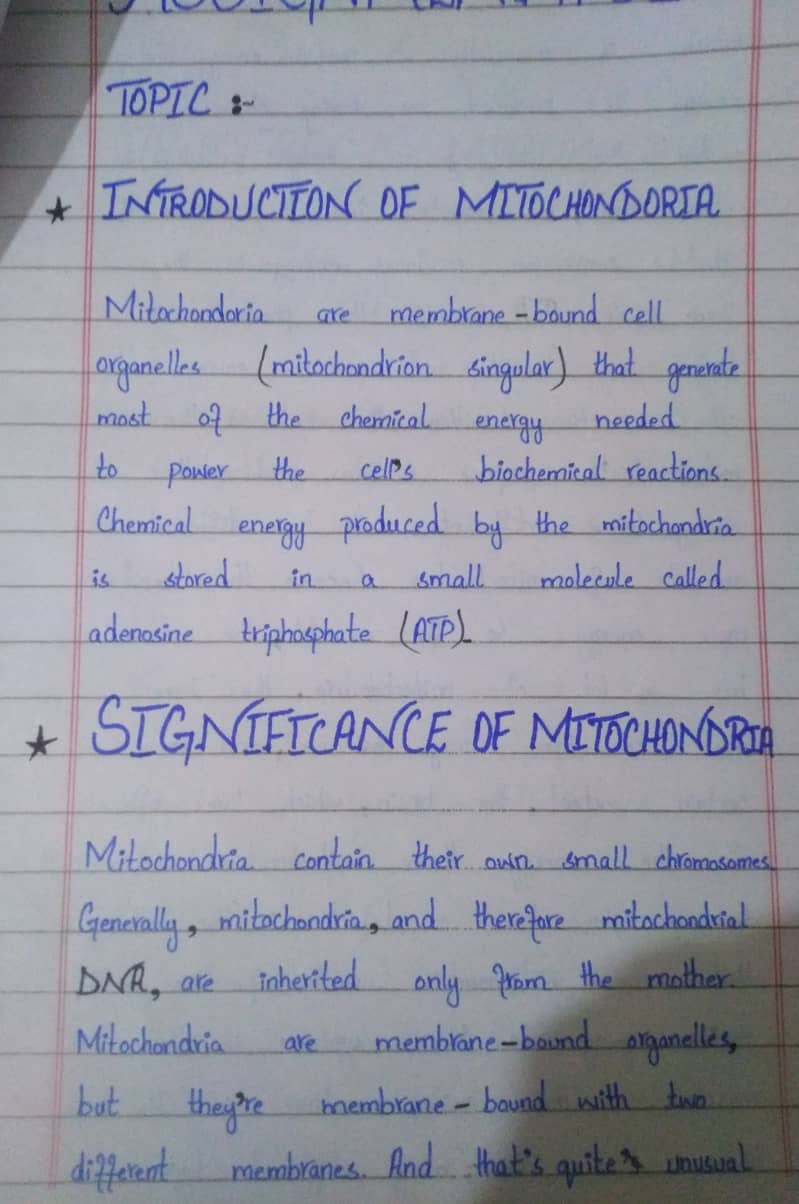 Handwritten Assignment Wok 5