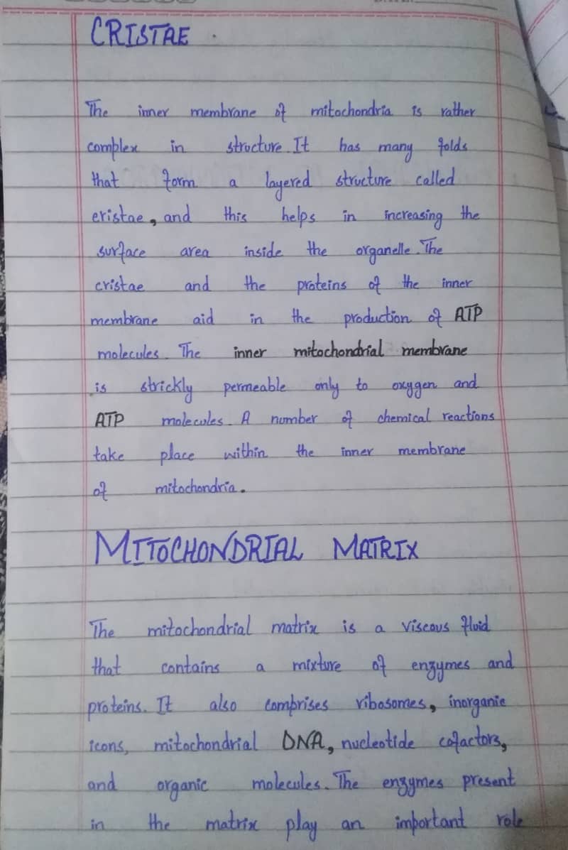 Handwritten Assignment Wok 8
