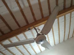 ceiling fan for sale