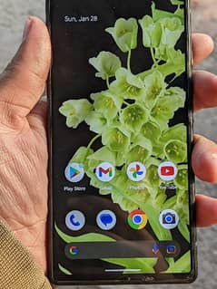 GOOGLE PIXEL 6 NON PTA