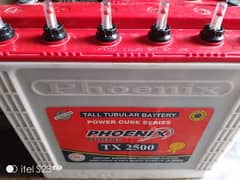 Tubular Phoniex TX-2500 Batteries in Very Good Condition and Back Up