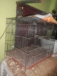 cage for parrot