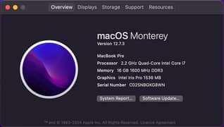 Macbook pro (retina 15-inch ,mid 2015) 256 GB 16GB