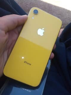 iphone XR, Non PTA , 64GB