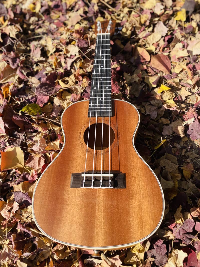 Yamaha Fender Taylor Tagima Deviser brand guitars & violins ukuleles 18