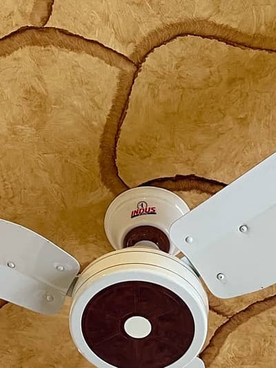 Indus Ceiling Fan