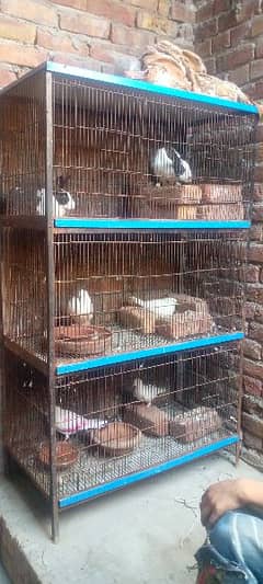 6 portion only cage for sale contact 03070512469