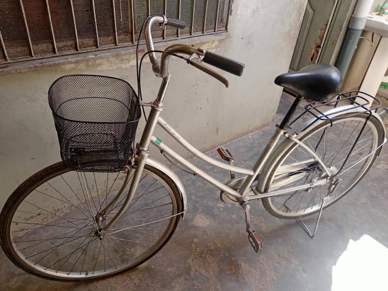 imported bicycle 1