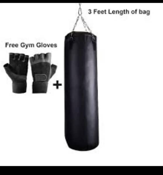 Boxing bag and gloves 0