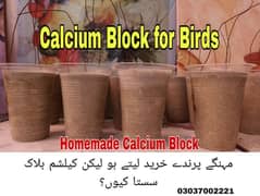 Homemade Calcium Block for Australia and Cockatiel Parrots