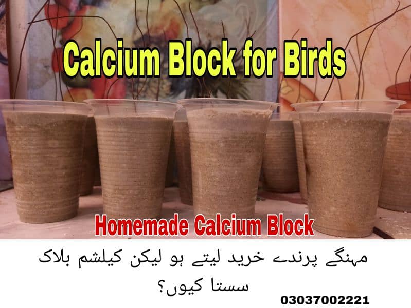 Homemade Calcium Block for Australia and Cockatiel Parrots 0
