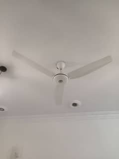 Ceiling Fans Available for Sale