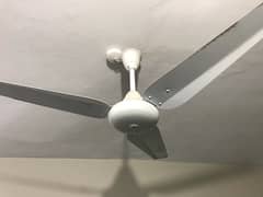 Fan for sale just like a new only 1 year old